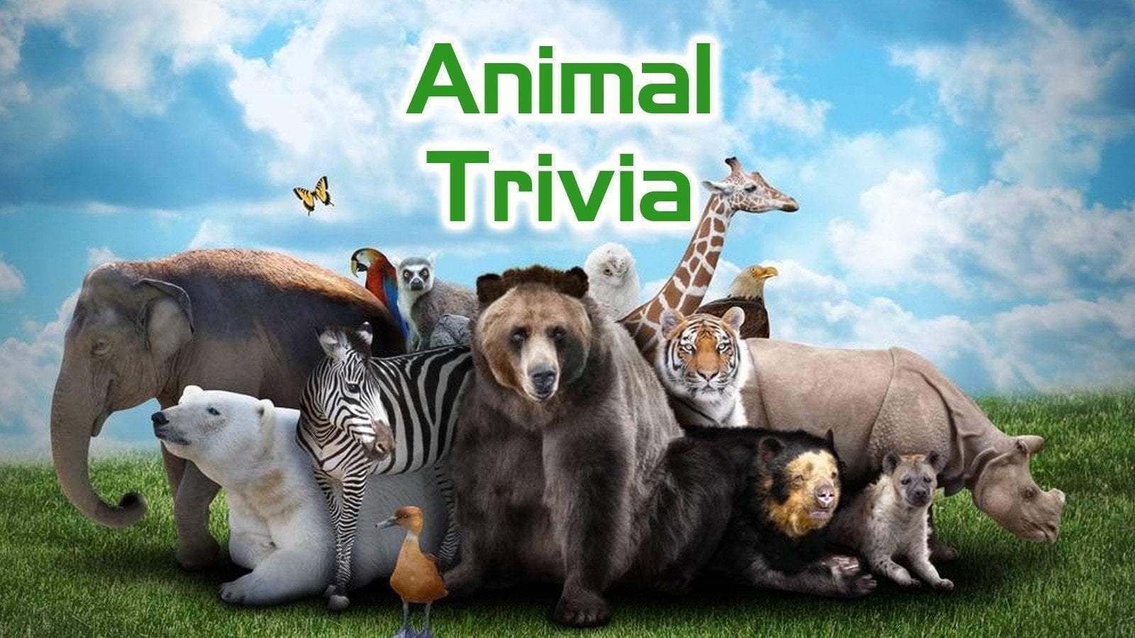 Free Trivia Night Questions - Animals